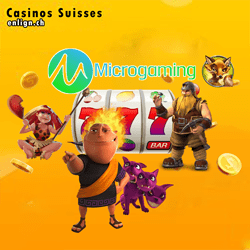 Avantages casino en ligne Microgaming